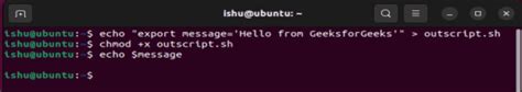 How To Defining A Bash Variable With Or Without Export In Linux