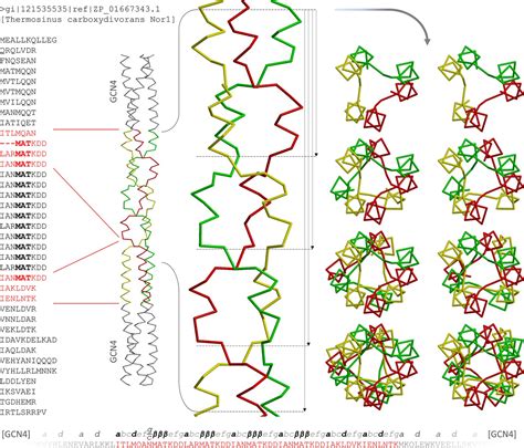 Figures and data in α β coiled coils eLife