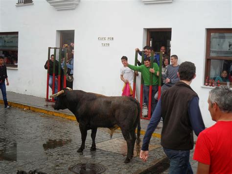 Blog Oficial Juan Alconchel 2023 SÁBADO DE VAQUILLA 2014 BENALUP CASAS