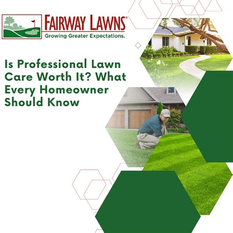 Professional Lawn Care Investing In Your Lawn Fairway Lawns