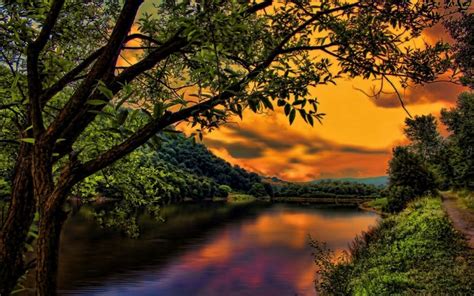 Sunlight Trees Landscape Forest Sunset Nature Reflection