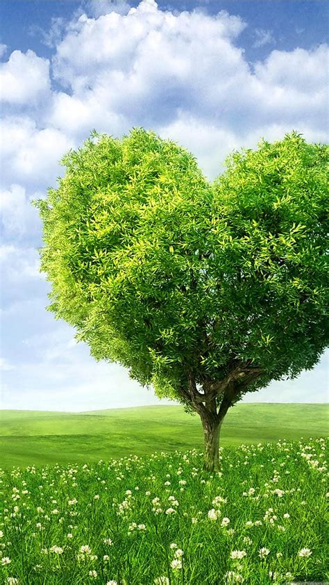 Heart Shaped Tree