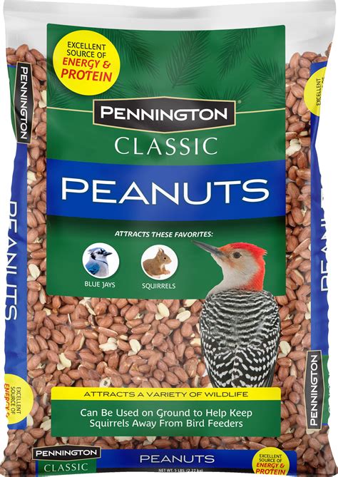 Are Shelled Peanuts Bad For Dogs