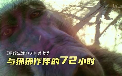 原始生活21天 第七季看点6 纪录片 全集 高清正版在线观看 Bilibili 哔哩哔哩