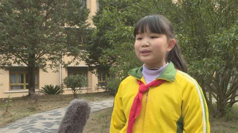 【开学第一课】龙潭街道第一小学组织观看“牢记嘱托感党恩 勇担使命闯新路”开学第一课澎湃号·政务澎湃新闻 The Paper