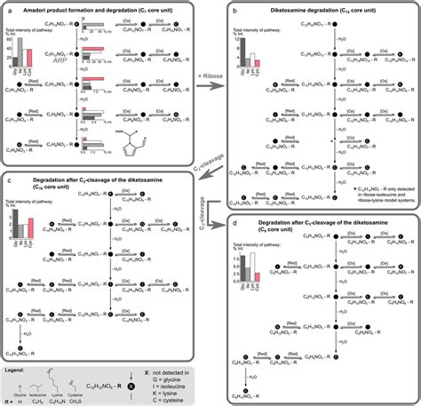 General Maillard reaction product formation and degradation pathways ...