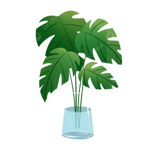 Green Plants Hd Transparent Green Plants Potted Plants Plant Hand