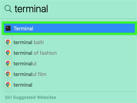 The Terminal Hacker's Guide