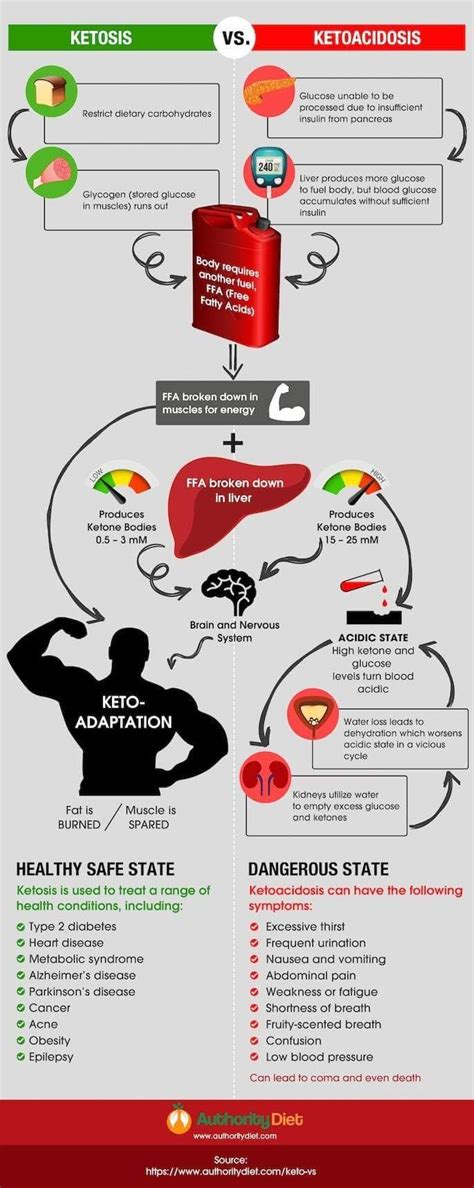 Ketosis vs Ketoacidosis infographic | Ketoacidosis diet, Ketosis ...