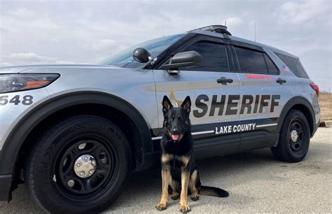 Lake County Sheriffs Office K 9 Zeus To Get Donation Of Body Armor