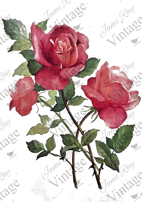 Roses Jrv Rice Paper A Create Your Own Cozy