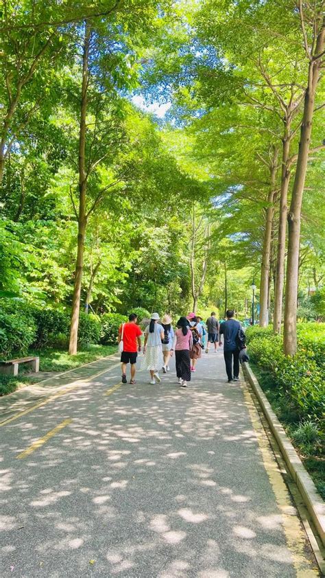 深圳最大公园 大沙河公园，周末节假日徒步游玩攻略 知乎