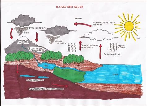 Studiamando Liberamente Il Ciclo Dell Acqua