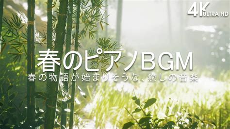 【4k】春の物語が始まりそうな、癒しの音楽【癒しbgm】🌸 春のピアノbgm ☀️ フレッシュ、さわやか、リラックス、癒し、新しい季節、入学式