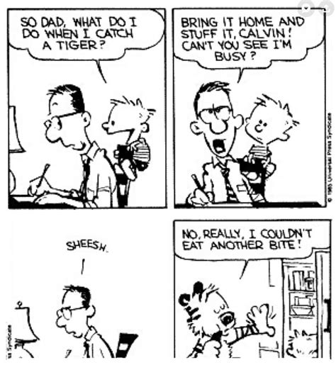 Pin By Lee Jones On Calvin Hobbes Calvin And Hobbes Comics Calvin