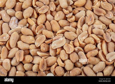 Roasted Peanuts Background Seamless Pattern Of Roasted Peanuts Close