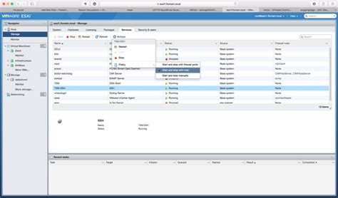 Backup ESXi Server – Lab System - Flomain Networking