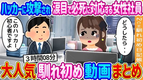 【2ch 馴れ初め総集編】ハッカーに攻撃され涙目で必死に対応する女性社員→無能のフリをした凄腕エンジニアの俺が本気を出した結果…【作業用