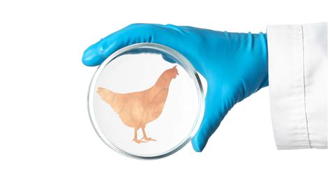 Lab-grown chicken OK'd for sale in the U.S.