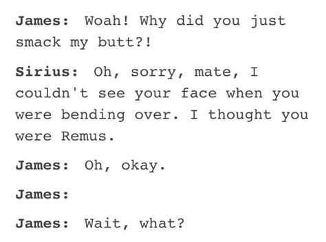 Pin By Kylie Smith On Marauders Harry Potter Headcannons Gay Harry Potter Harry Potter Fan