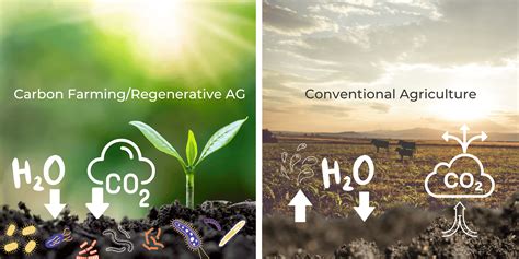 Carbon Farming As Regenerative Ag Developing Markets Entrants And