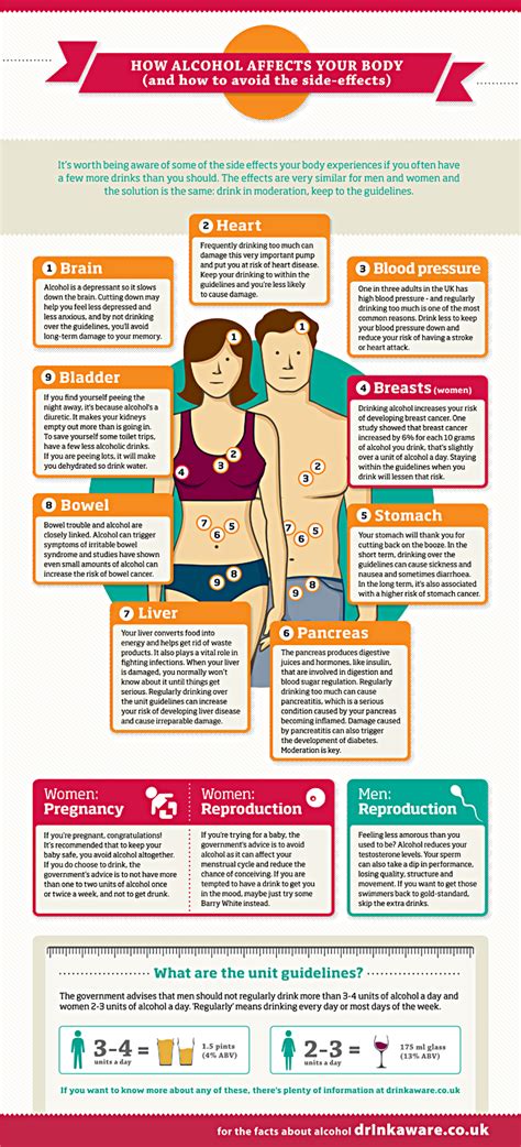 How Alcohol Affects Your Body Alcohol Awareness