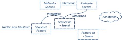 Generic syntax of SBOL Visual 2: a diagram for a nucleic acid construct ...