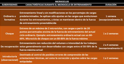 Organizaci N Del Entrenamiento Macrociclo Microciclo Y Mesociclo Iii