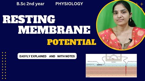 Resting Membrane Potential B Sc 2nd Year Nerve Impulse Transmission