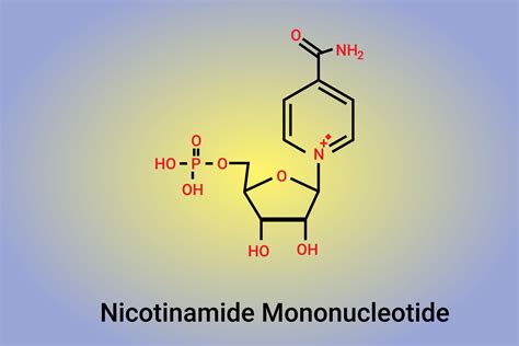 Nicotinamide Mononucleotide Molecule Precursor Of Nad Plus Chemical