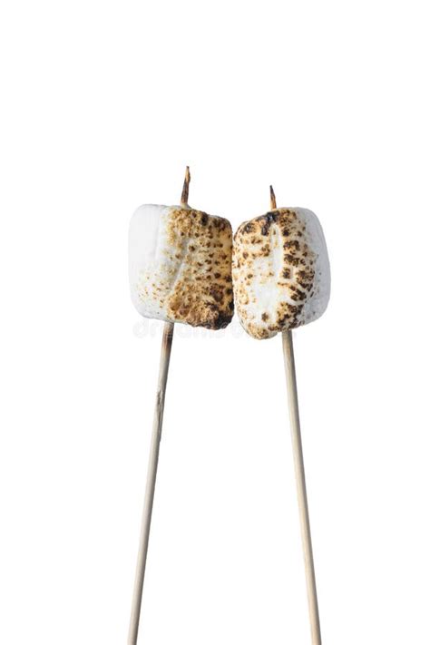 Roasted Marshmallows On A Stick Stock Image Image Of Fluffy American