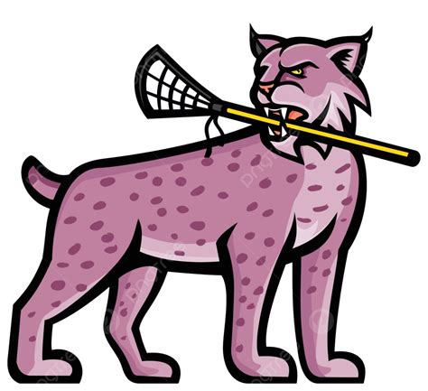 Bobcat Or Lynx Lacrosse Mascot Sign Lacrosse Illustration Vector Sign