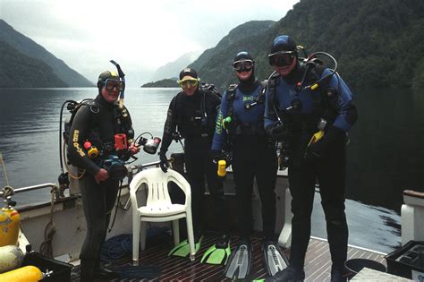 Skip S Underwater Image Gallery Fiordland Part