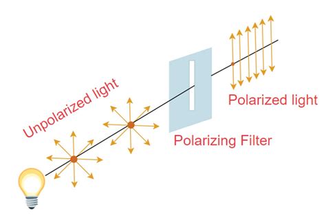 Polarized Sunglasses How Do They Work