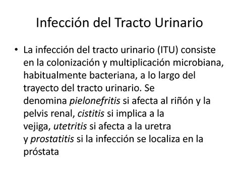 Solution Infecci N Del Tracto Urinario Studypool