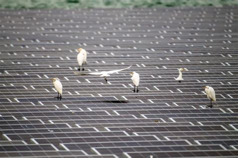 投資千億綠能電站建構幸福安全生活 辰亞能源首創海上型太陽能電站 今周刊