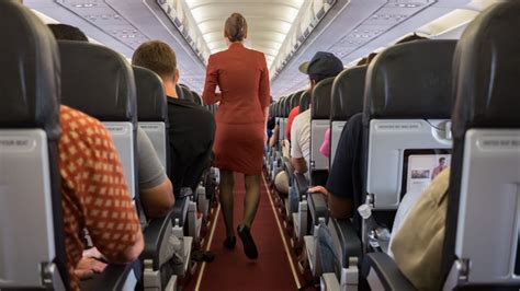 The Flight Attendant Meme Is Here To Shame Your Career Choice Mashable