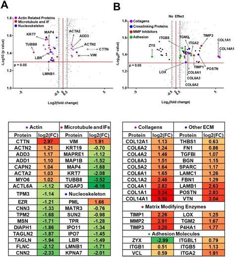 Mass Spectrometric Analysis Of Differentially Regulated Peptides In Download Scientific Diagram