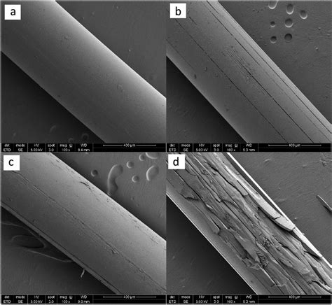 Scanning Electron Microscope Images Of Nylon Monofilament Samples A