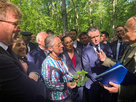 Total Les Militants Du Climat Sont Dans Leur R Le Dalerter Selon