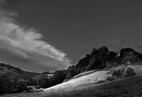 Premium Photo Trees Growing On Hill Against Sky