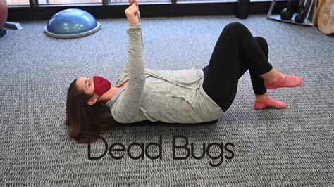 Modified Dead Bugs Physical Therapy Exercise On A Foam Roller At Rose