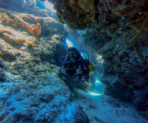 Cozumel Two Dives In Cozumel National Marine Park