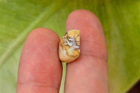 Natural Brecciated Mookaite 783 Ct Fancy Cabochon Video