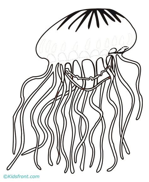 Jellyfish Coloring Pages For Kids - Coloring Home
