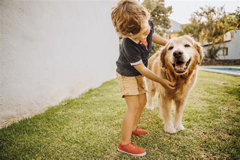 Las señales para descubrir si mi hijo es alérgico al pelo de perro