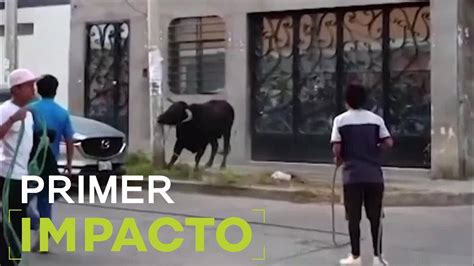 Un Toro Se Escapa Y Causa Pánico Durante Un Evento Al Menos Cinco Personas Heridas Youtube