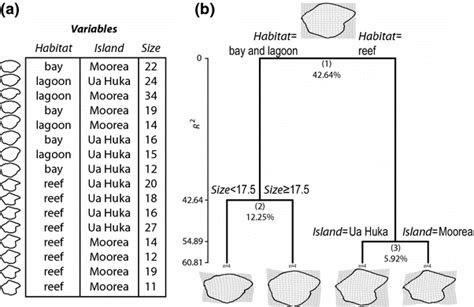 Regression Tree Applied To Dataset1 With 16 Otolith Shapes From