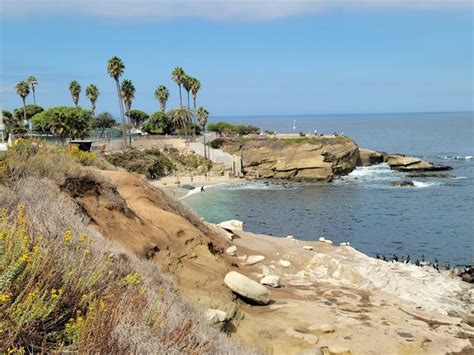 Top 4 Things In La Jolla Cove Beach San Diego