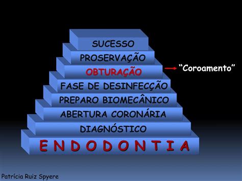 Ppt Obtura O Do Sistema De Canais Radiculares Powerpoint